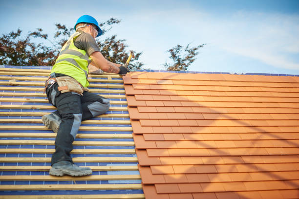 Best Roof Insulation Installation  in Waveland, MS